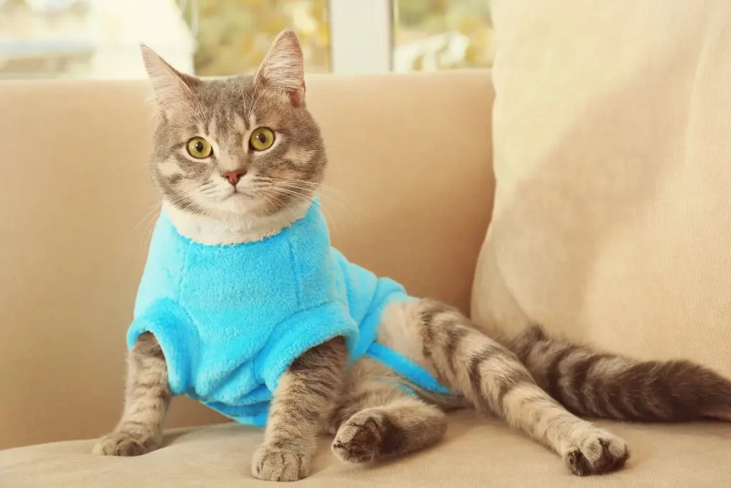 Como Fazer Roupas para Gatos