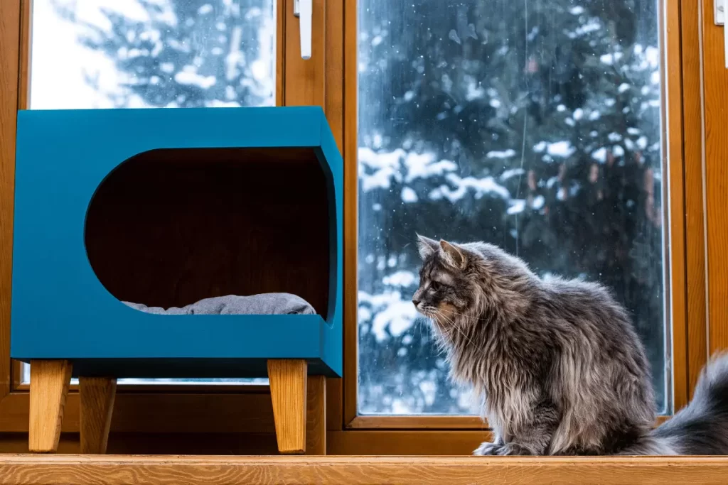 Tipos de Casinha para Gatos