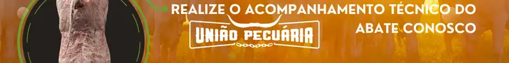 União Pecuária - Acompanhamento técnico de abate de bovinos