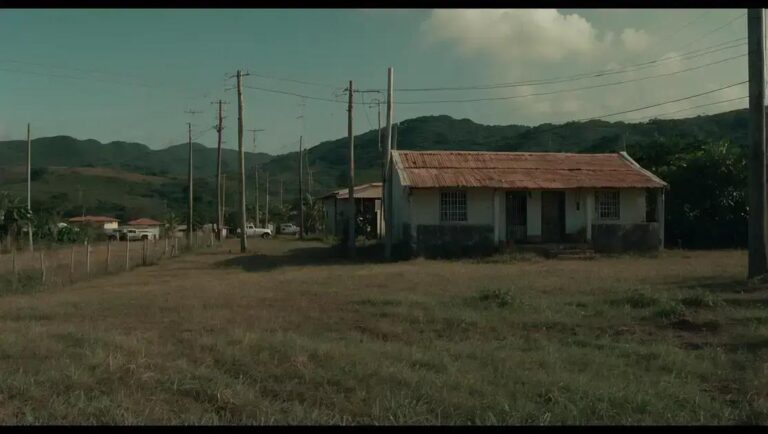 Boi Gordo: Expectativa de Alta nas Cotações em Julho