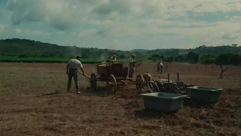 Feicorte 2025: Soluções em Saúde Ocupacional para o Campo