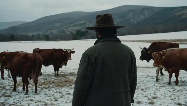 5 Cuidados Essenciais com Bovinos no Frio