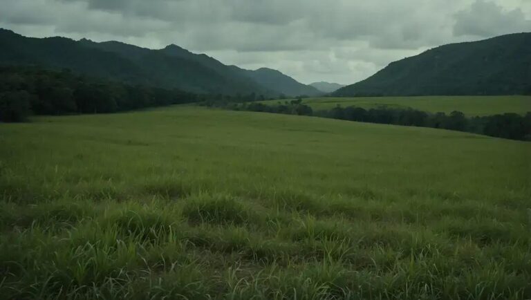 Síndrome Letal do Potro Branco: Entenda os Riscos e Prevenção